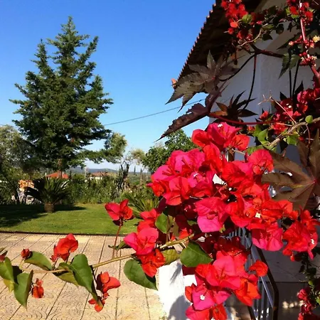 Beautiful Family House In Messinia 度假居 *