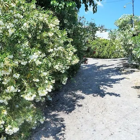 Дом отдыха Beautiful Family House In Messinia Amfithea (Messini)