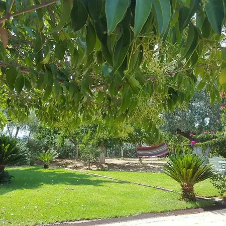 Beautiful Family House In Messinia *