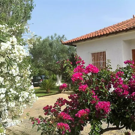 Beautiful Family House In Messinia *